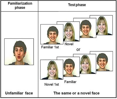 Mouth Movements as Possible Cues of Social Interest at Birth: New Evidences for Early Communicative Behaviors